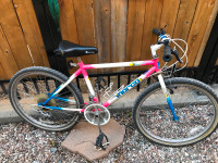 Norco Hammer roues 24