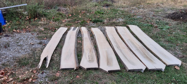 Rough Cut Maple lumber - 5 pieces in Other in Oshawa / Durham Region - Image 4