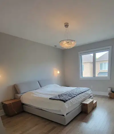 Good for any room in the house