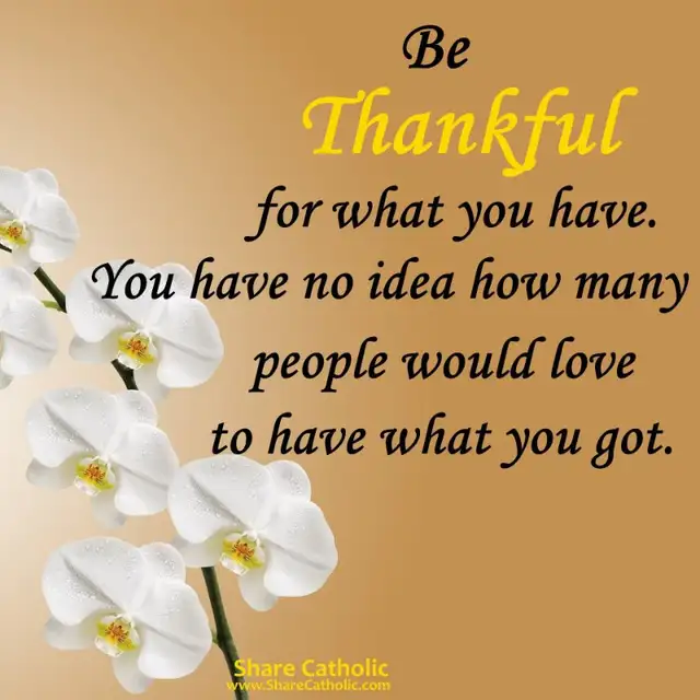 House Cleaning65203779252482121
