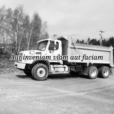 Dump Truck, View more