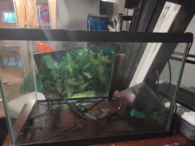 21 gallon Fish Tank- $75 for everything, View more