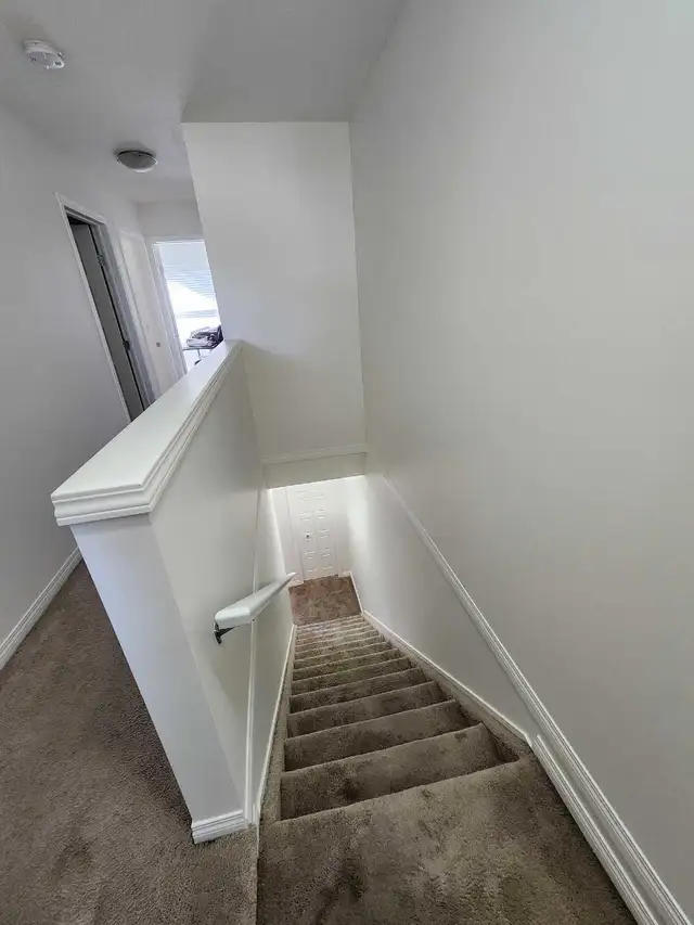 Calgary Painters – Premium Quality | Interior & E498576924230307841