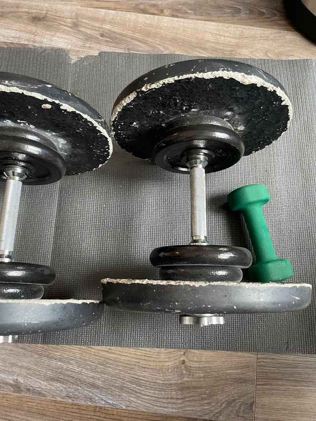 1-2-per-pound-dumbbells-pairs-of-5-8-15-35s-and-one-55lbs-exercise