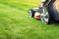 "Grass Glory: Unleash Your Lawn's Potential at Just $45 per Sess
