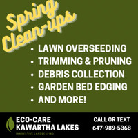 Outdoor Spring Clean Ups - Now Booking