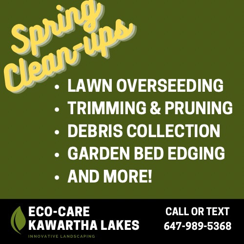 Outdoor Spring Clean Ups - Now Booking in Other in Kawartha Lakes