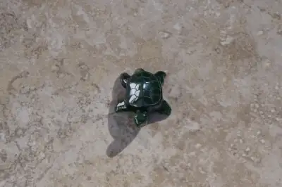 Carved Stone Turtles, View more