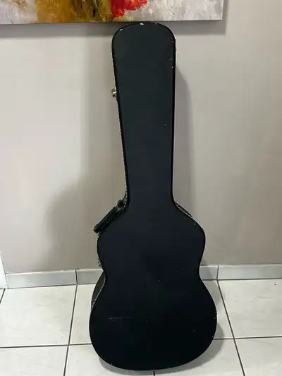 Guitar Case, View more