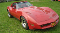 corvette 1981