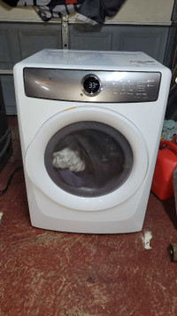 Steam dryer for sale 