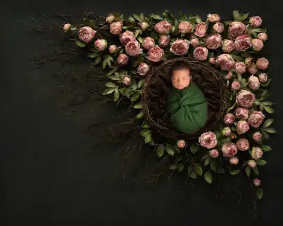 Maternity & Newborn Photography-Limited Spots for booking!, View more