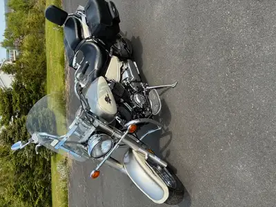I purchased in 2017 from lady who rode with her husband on Blue Knight runs. Bike works great, just...