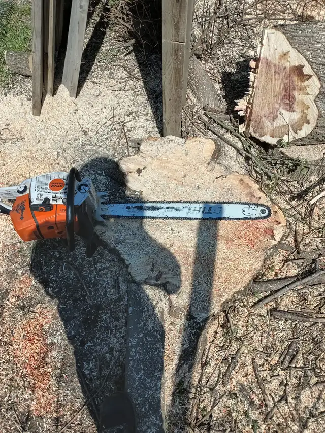Tree service62864354288003122