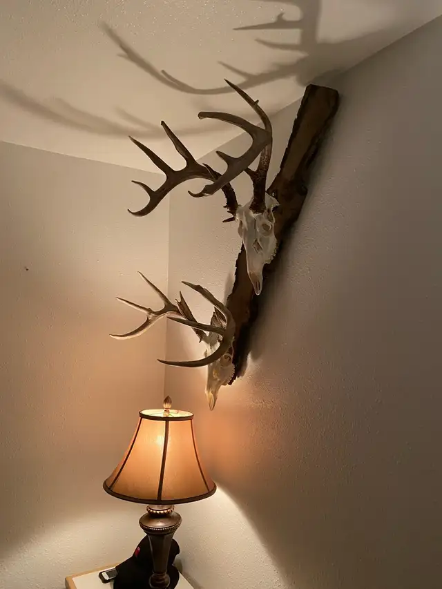 Euro mount in Other in Portage la Prairie - Image 2