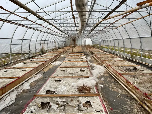 40 acres land $ greenhouse for lease in Coldstream  in Land for Sale in Vernon - Image 10