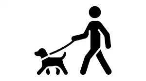 EXPERIENCED DOG WALKER I am available weekdays. Willing to travel reasonable distances. $35 for one...
