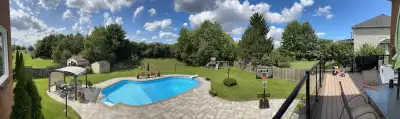 Beautiful Large Basement in Markham