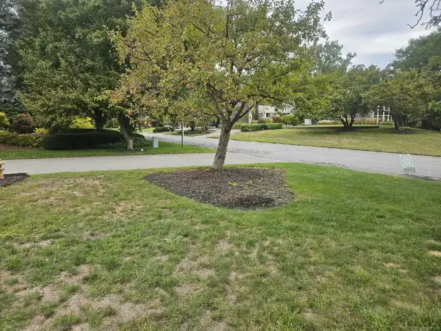 JS LANDSCAPING- FREE ESTIMATES!63760493487363122