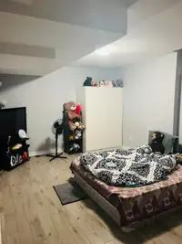 Sharing Room in Big Private basement 