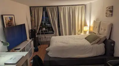 I am renting my apartment in downtown Montreal it is very clean, there is a sofa bed, a double bed a...