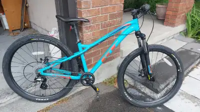 GT Stomper Ace kids mountain bike, View more