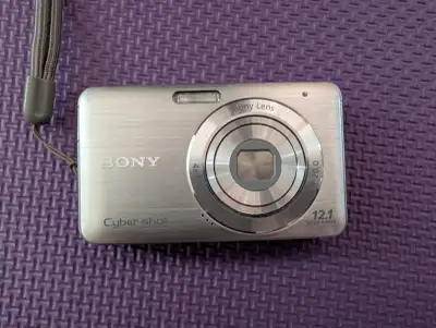 Sony Cyber-shot DSC-W310 compact digital camera, View more