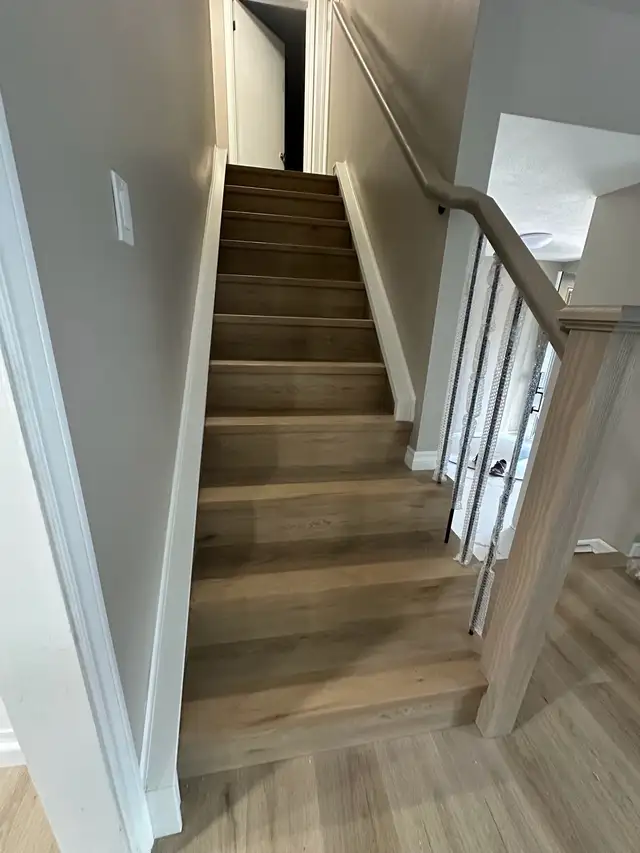 Professional Floorong Installation64645238010241120