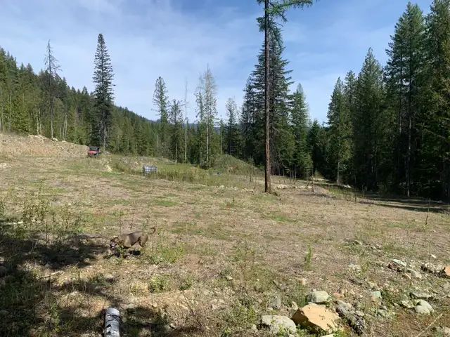 10 Acres Build-Ready Land in Land for Sale in Nelson - Image 5