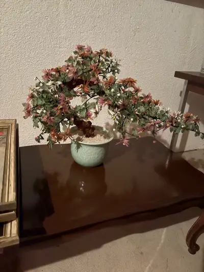 Very beautiful bonsai tree Stunning table top show piece