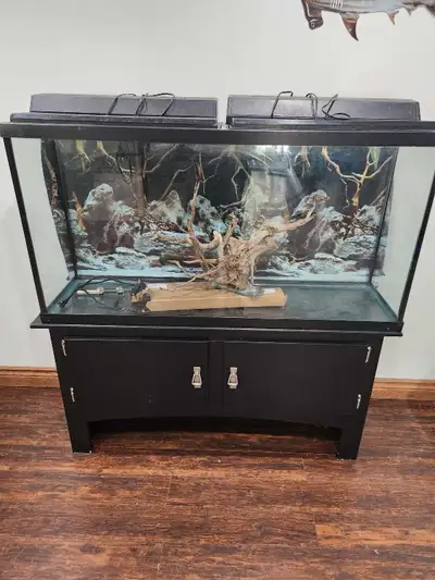 60 gallon aquarium , View more