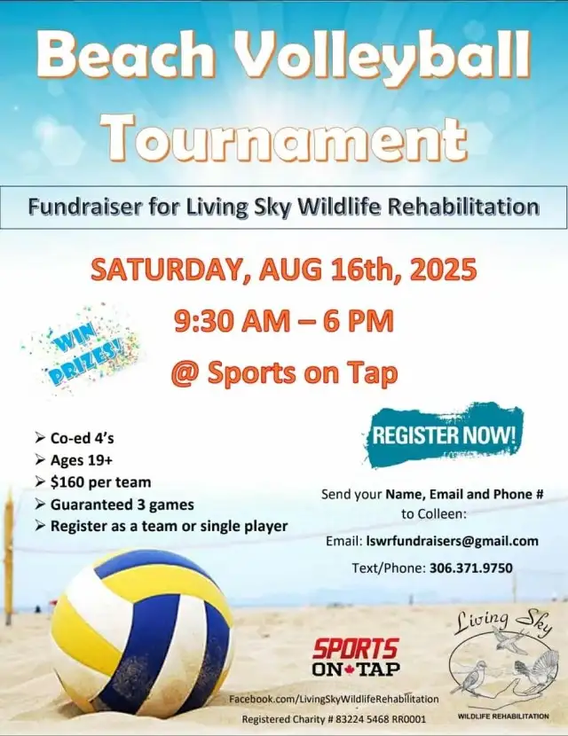 Beach Volleyball Tournament63611961344131120