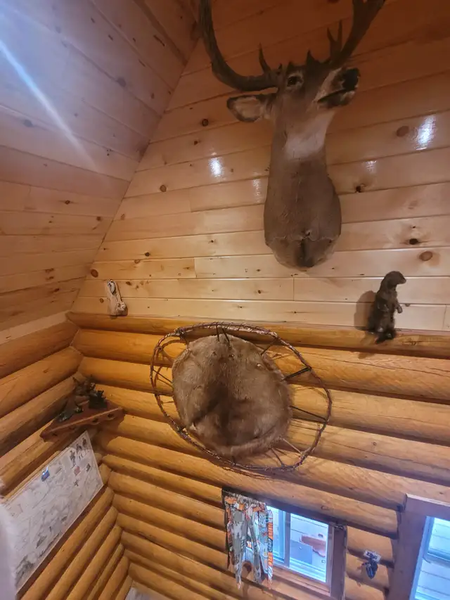 Bunkie cabins in Kenora - May-Sep 2026 in Ontario in Canada - Image 11