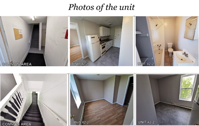 Multiple Units available for rent in Long Term Rentals in Sudbury - Image 4