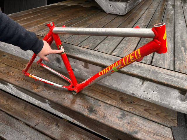 Specialized M2 frame in Frames & Parts in Fredericton - Image 2