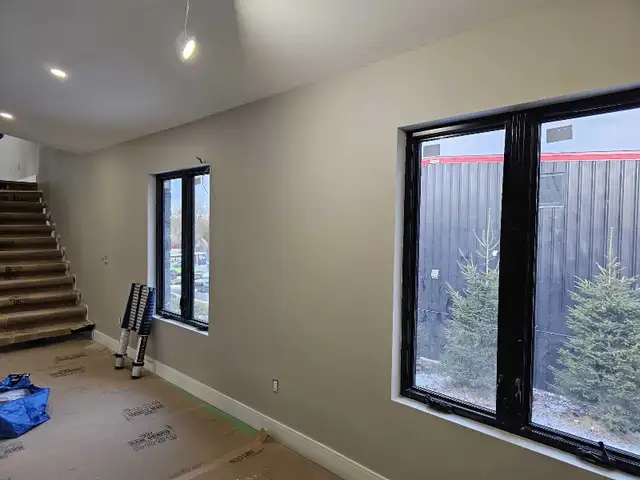 DO YOU NEED A PAINTER?64840199715331123