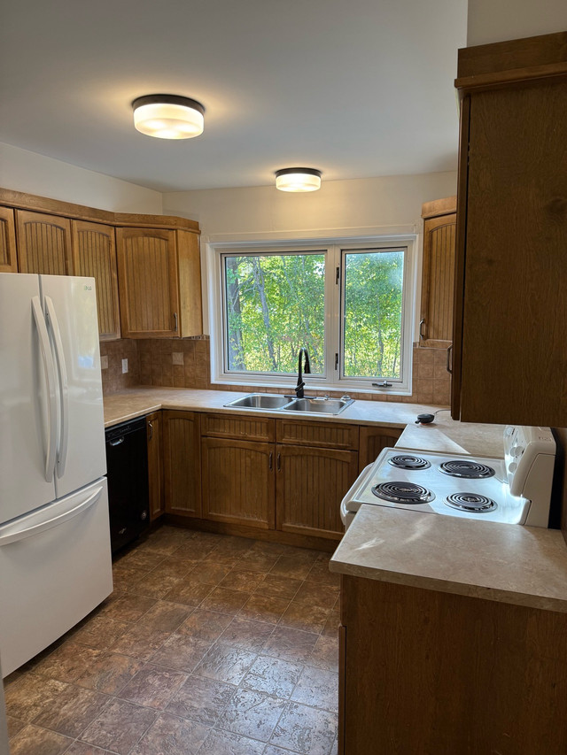 4 Beds 2 Baths in Long Term Rentals in Moncton - Image 3