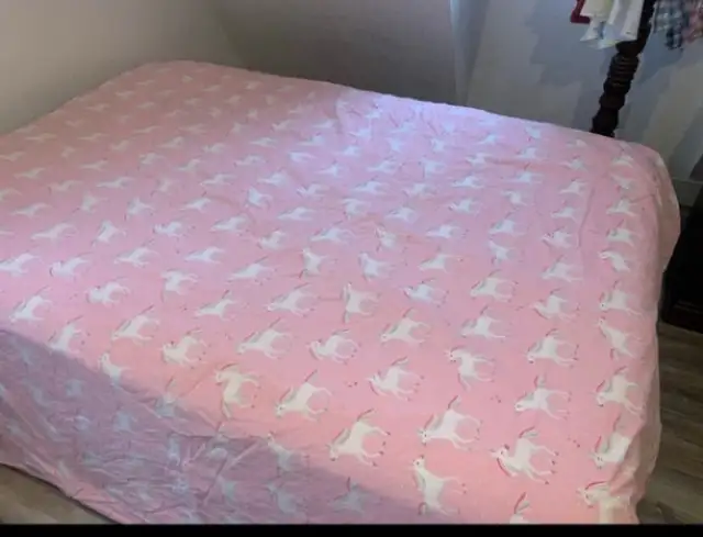 Pottery Barn Kids Girl’s Duvet Cover Full/Queen in Bedding in Owen Sound - Image 3