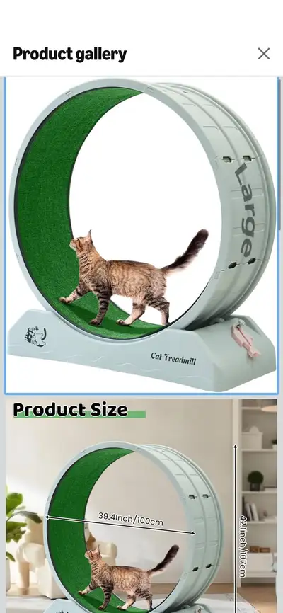 Cat Treadmill, View more