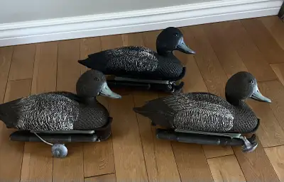 Set of 3 plastic duck decoys with weights, View more