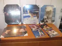 Cadres de photos de chiens et chats et livres CKC