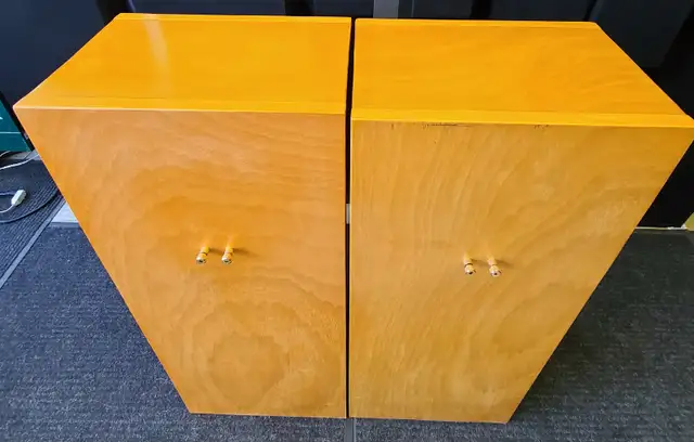 FOSTEX FE206E FULLRANGE SPEAKERS in Stereo Systems & Home Theatre in City of Toronto - Image 4