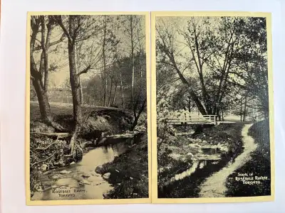 I'm offering two vintage postcards featuring scenes from Rosedale Ravine in Toronto. These postcards...