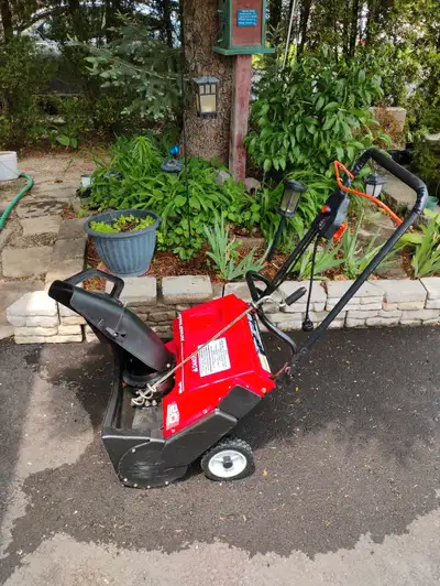 Electric and gas snowblowers, View more