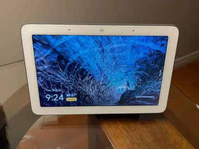 Google Nest Hub (Willing to negotiate price), View more