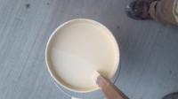 1 full pail of linen color indoor paint