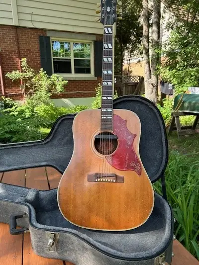Learn how to play the guitar properly in your home. 30 years teaching and performing experience. Lea...