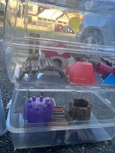 hamster cages perfect Christmas setup, View more