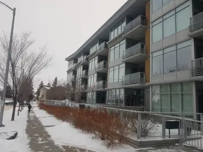 Luxury Furnished Century Park Condo