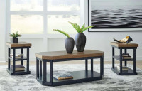 Magnifique set de 3 tables avec rangement en bois et acier